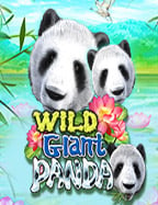 wm แจก เครดิต ฟรี กับสล็อตสุดปังจาก Jili